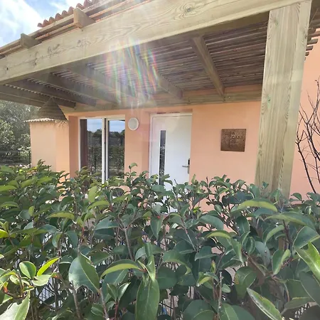 A Casa Di Lo Vila Lecci Exterior foto
