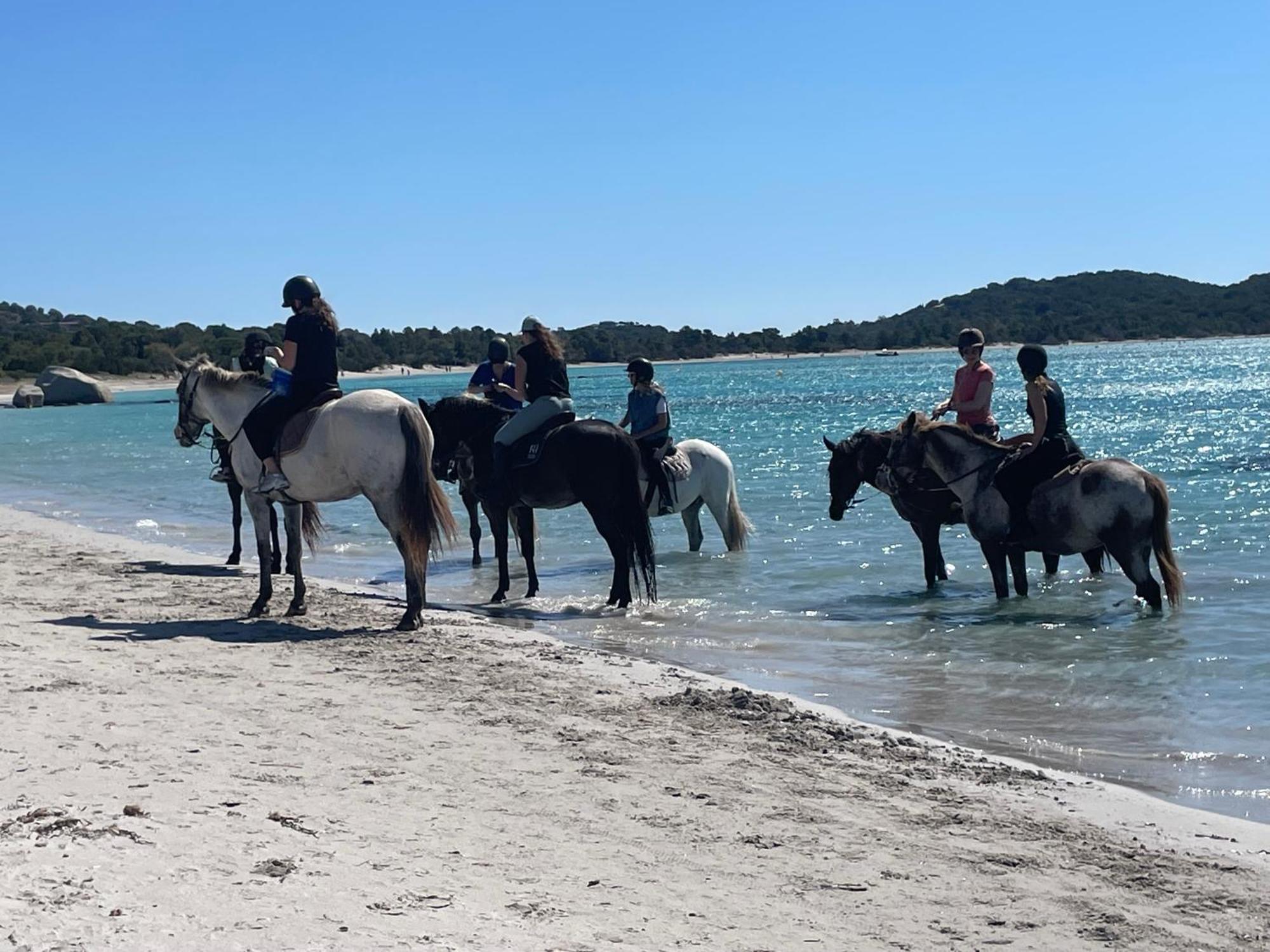 Hébergement de vacances A Casa Di Lo *